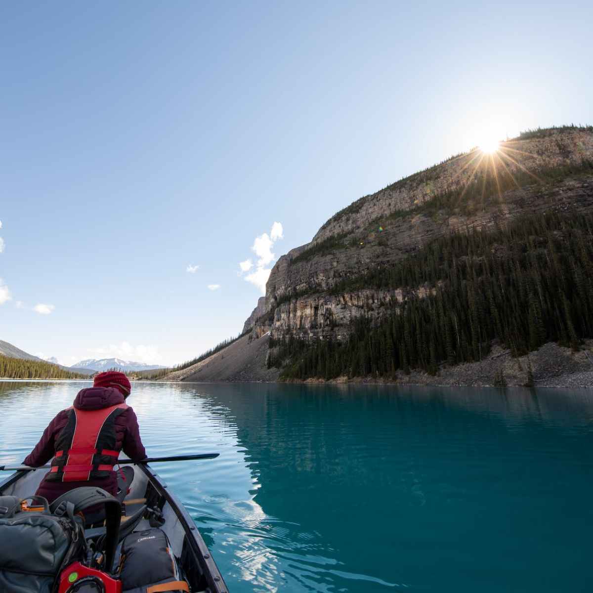 Converting Growth from Coincidence to&nbsp;Intentional