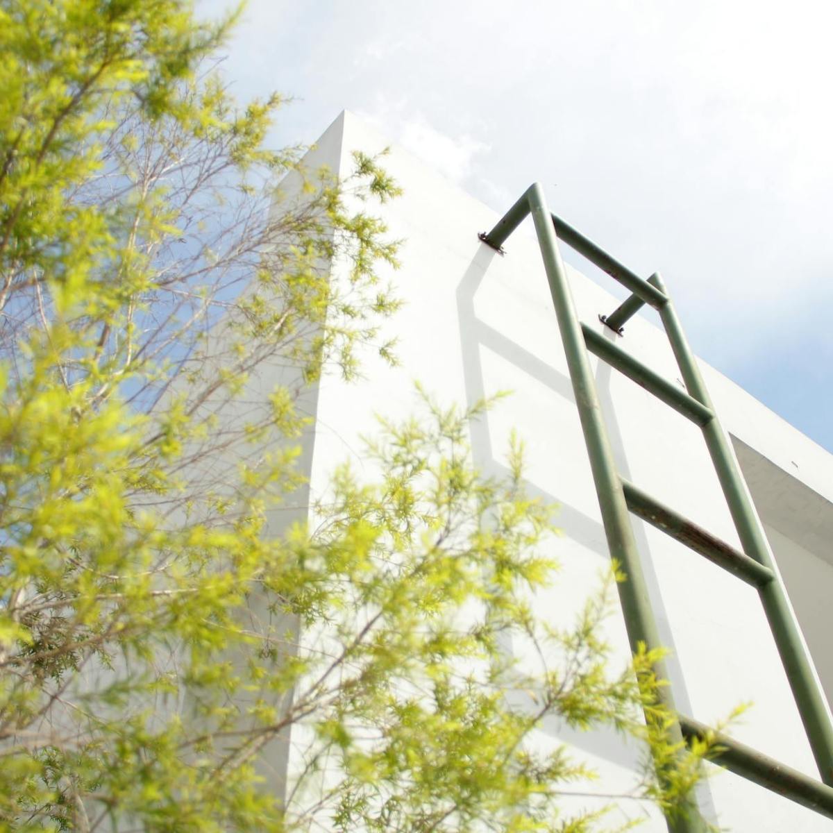 Inside-Out Growth: How Character Shapes Your&nbsp;Success