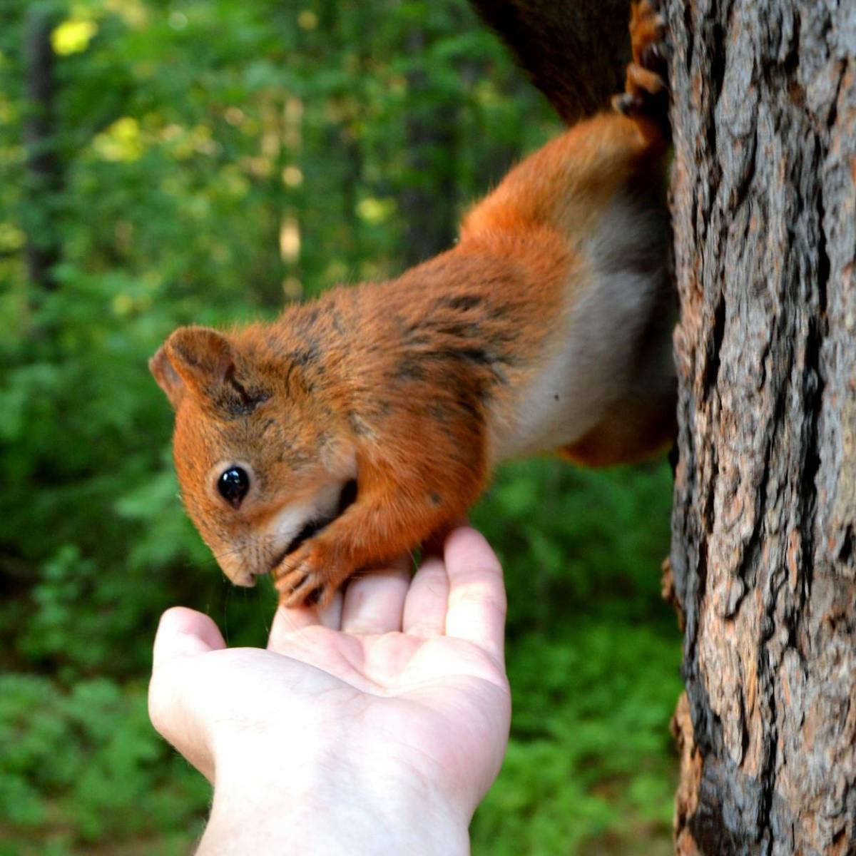 Never Stop Asking: The Secret to Lifelong&nbsp;Learning