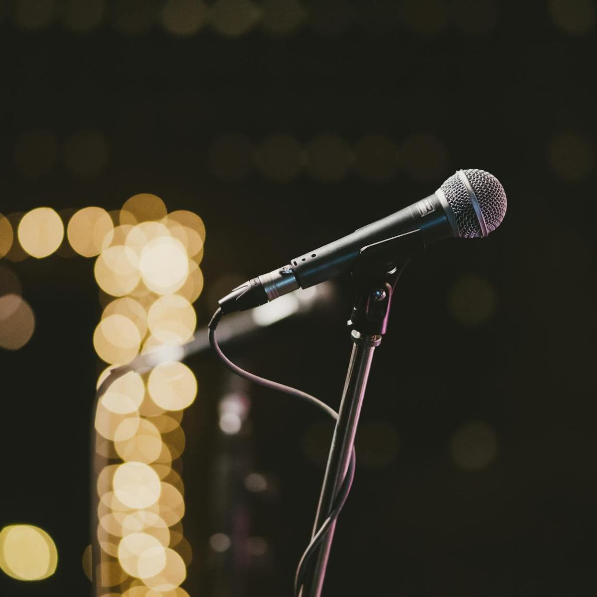 Self-Growth That Echoes: The Power of&nbsp;Contribution